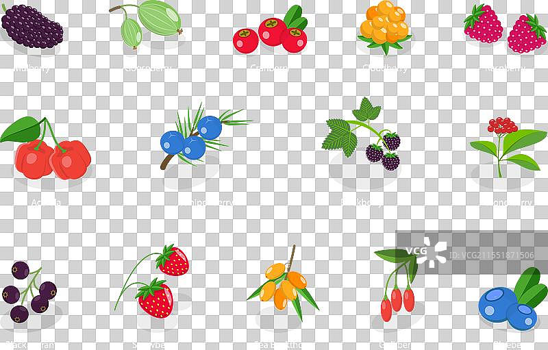 3D等距平面浆果集合图片素材