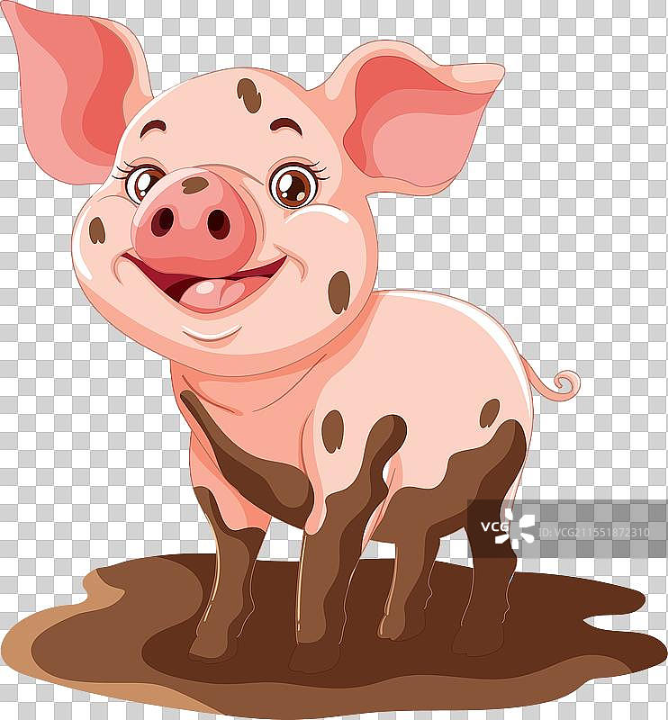 快乐的卡通小猪站在泥泞的水坑里图片素材