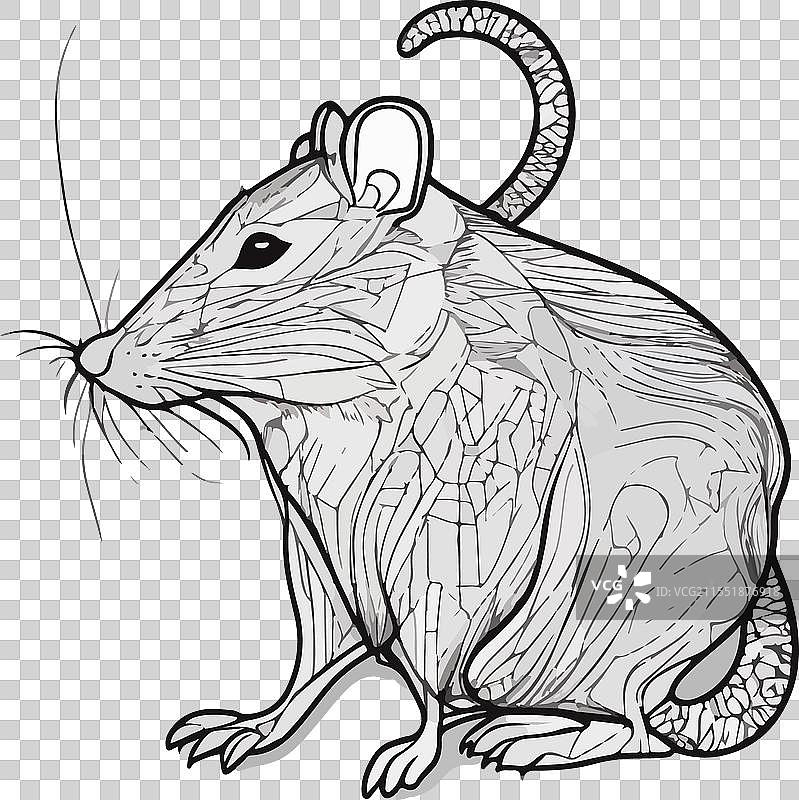 一幅侧面有图案的老鼠画。图片素材