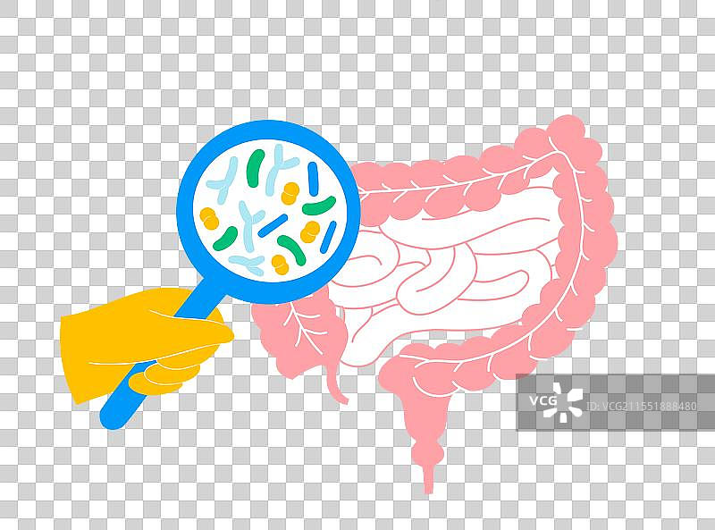 益生菌与肠道微生物组图片素材