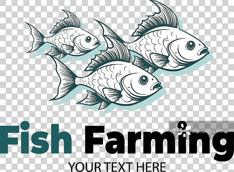 鱼类养殖或水产养殖创意标志三图片素材