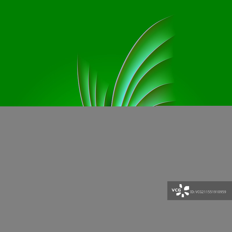 绿色上的蝴蝶图片素材