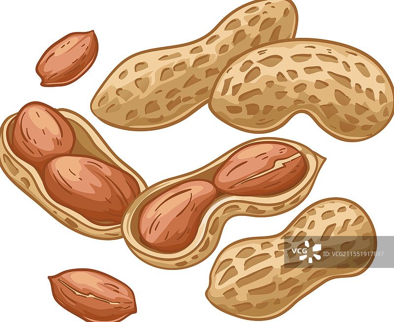 完整和剥开的花生图片素材
