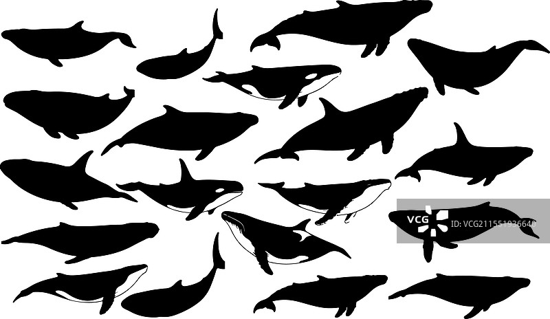 蓝色轮子轮廓用于库存图片素材