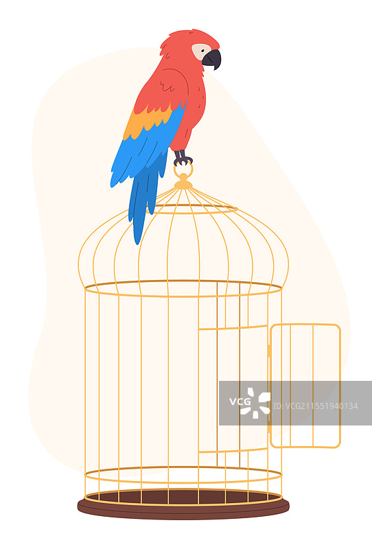 一只鹦鹉坐在打开的鸟笼上，进行维护和照顾。图片素材