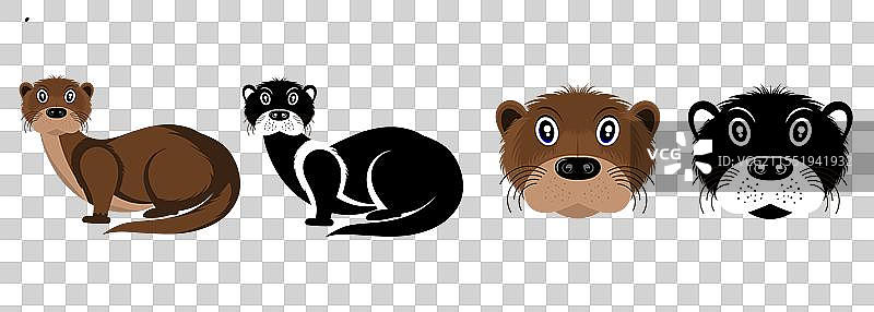 海獺作为海洋哺乳动物图片素材