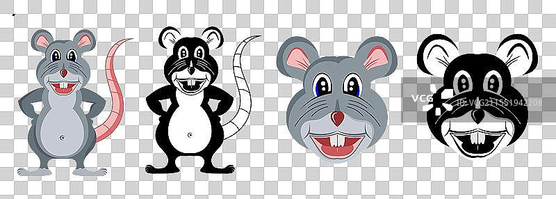 宠物动物的老鼠头图片素材