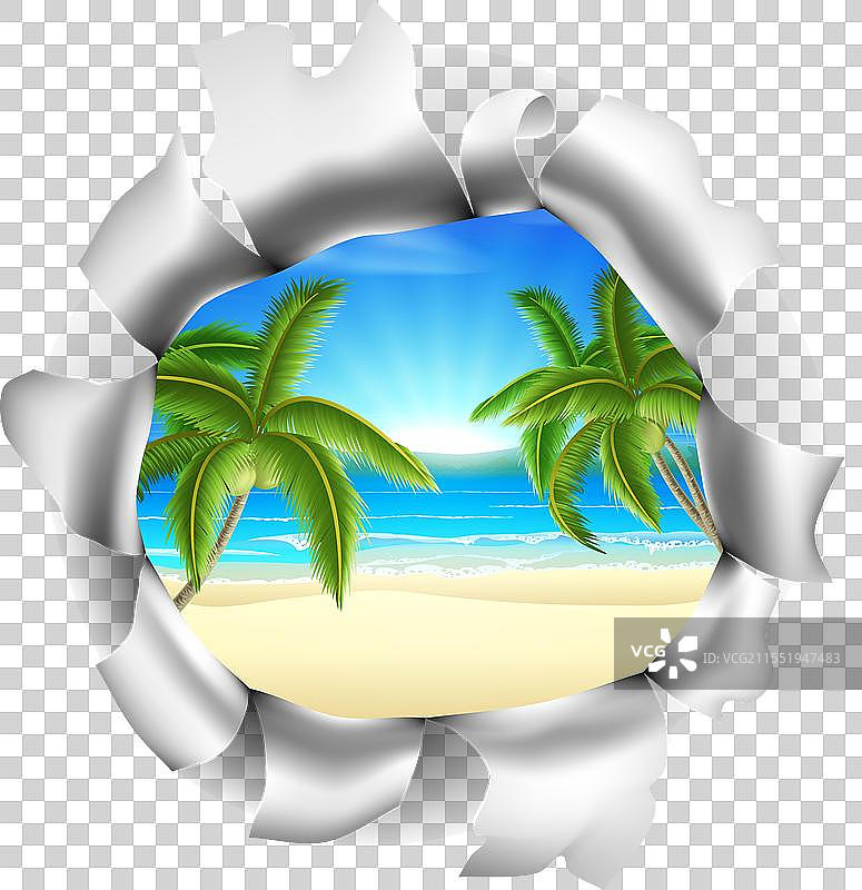 透过背景的海滩场景图片素材