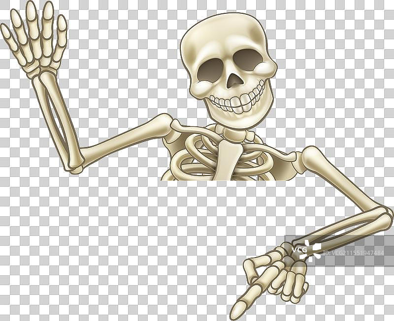 指着和挥手的卡通骷髅图片素材