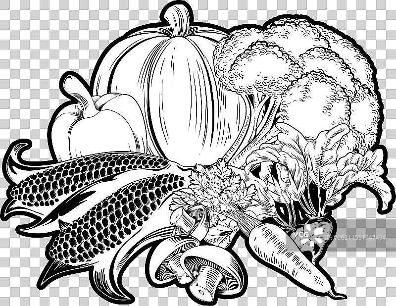 蔬菜食品组图片素材