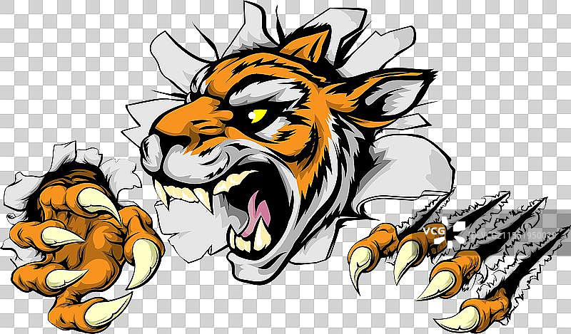 愤怒的老虎体育吉祥物图片素材