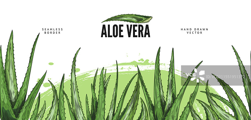 芦荟横幅图片素材