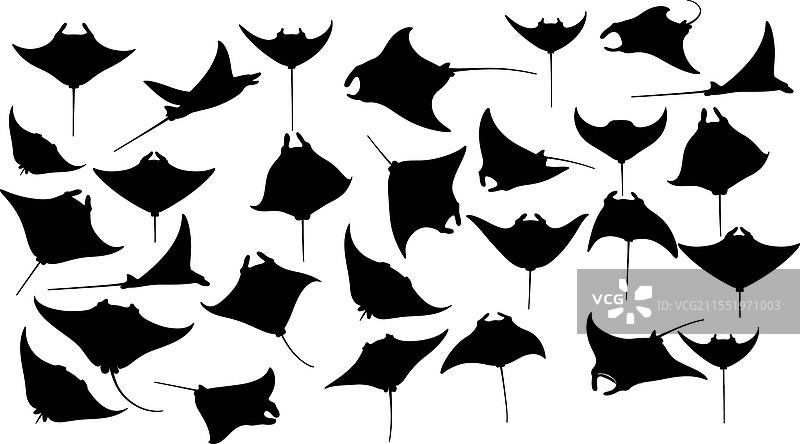 魔鬼鱼剪影合集图片素材