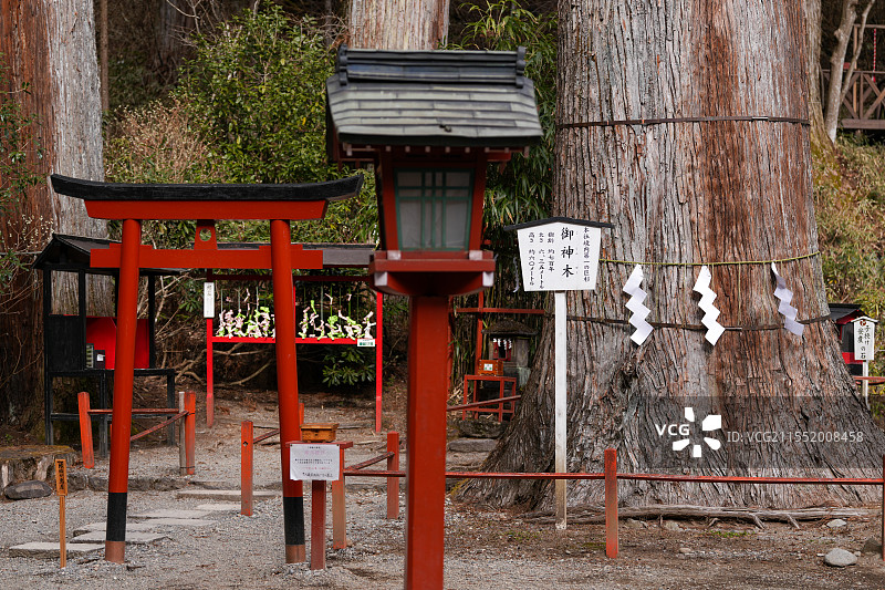 日本 枥木县 日光东照宫 世界文化遗产 德川家康 二荒山神社 御神木图片素材