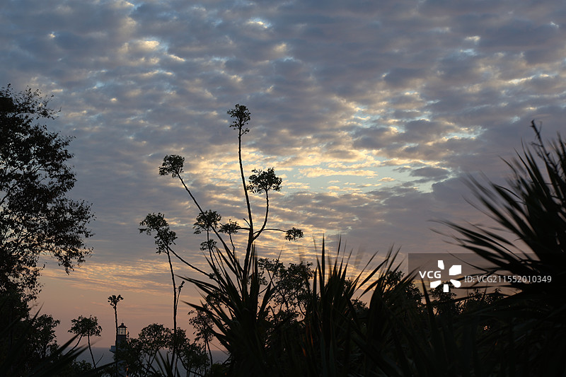 南山不老松，海南三亚，大小洞天，晚霞，热带雨林，大海，蓝天图片素材