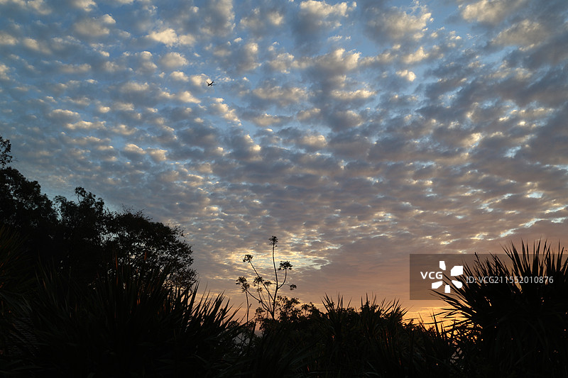 南山不老松，海南三亚，大小洞天，晚霞，热带雨林，大海，蓝天图片素材