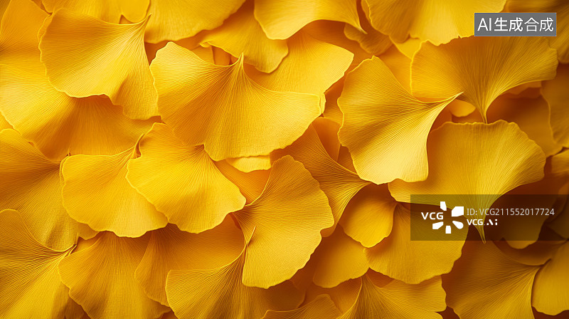 【AI数字艺术】满画幅金黄色的银杏叶平铺背景图片素材