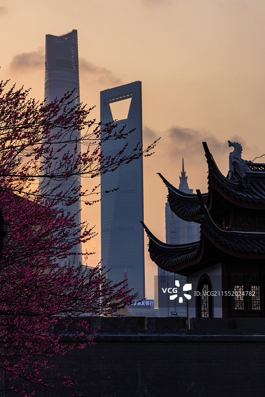 梅花前景的上海浦东梅园公园古建筑门楼和上海地标建筑同框图片素材