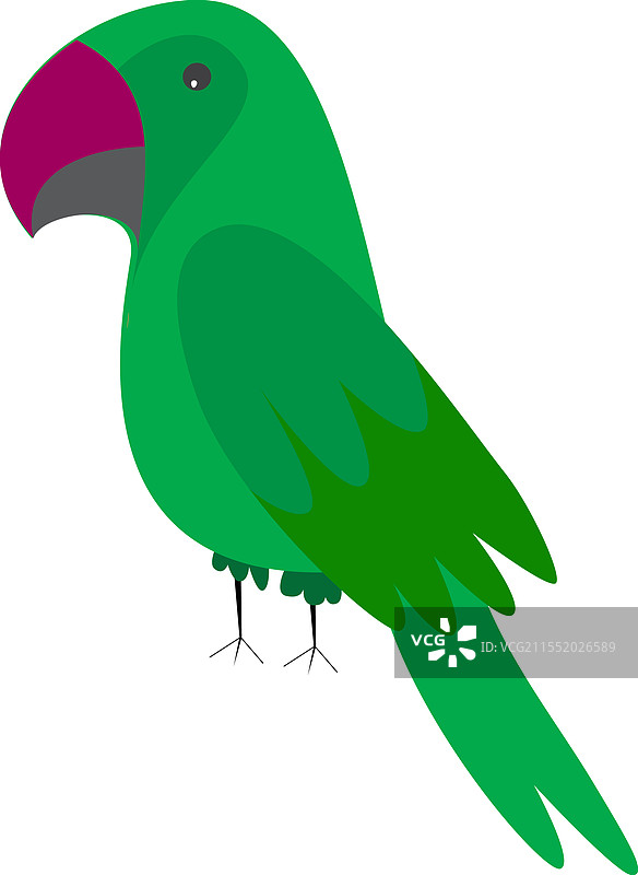 美丽的绿色抽象鹦鹉孤立图形图片素材