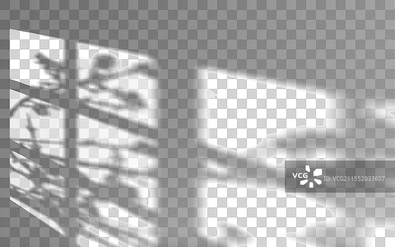 窗户和植物投射的光影效果图片素材