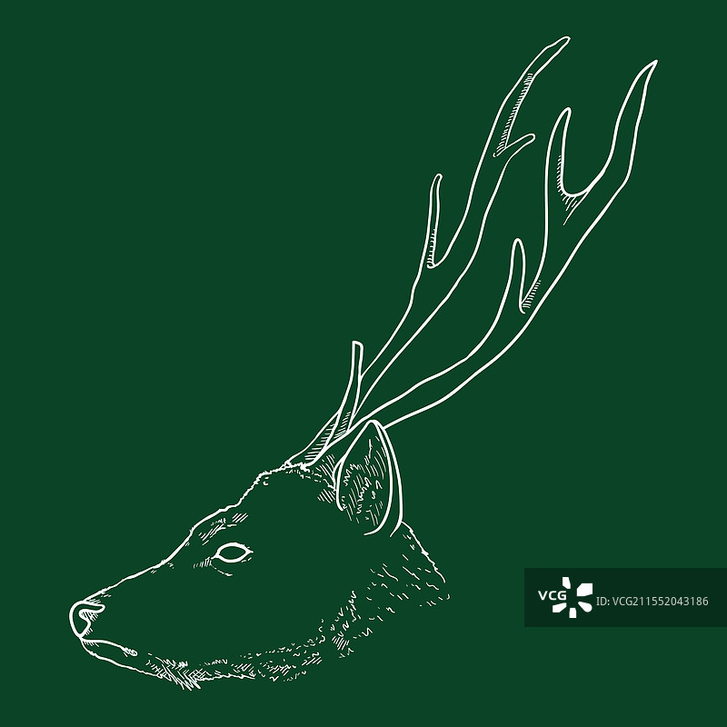 鹿的侧面头部素描图片素材