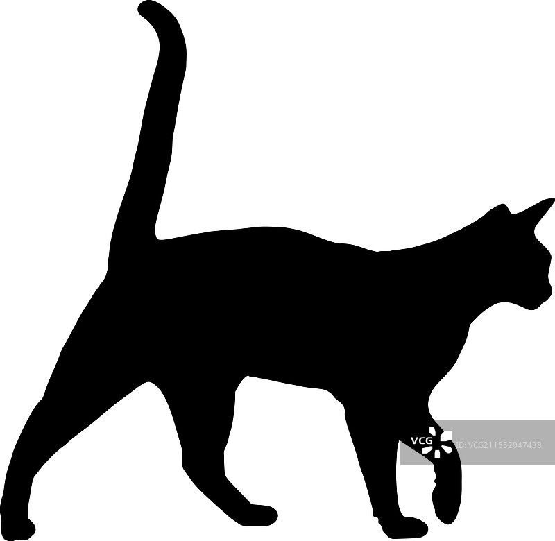 斯芬克斯猫侧面轮廓宠物猫品种图片素材