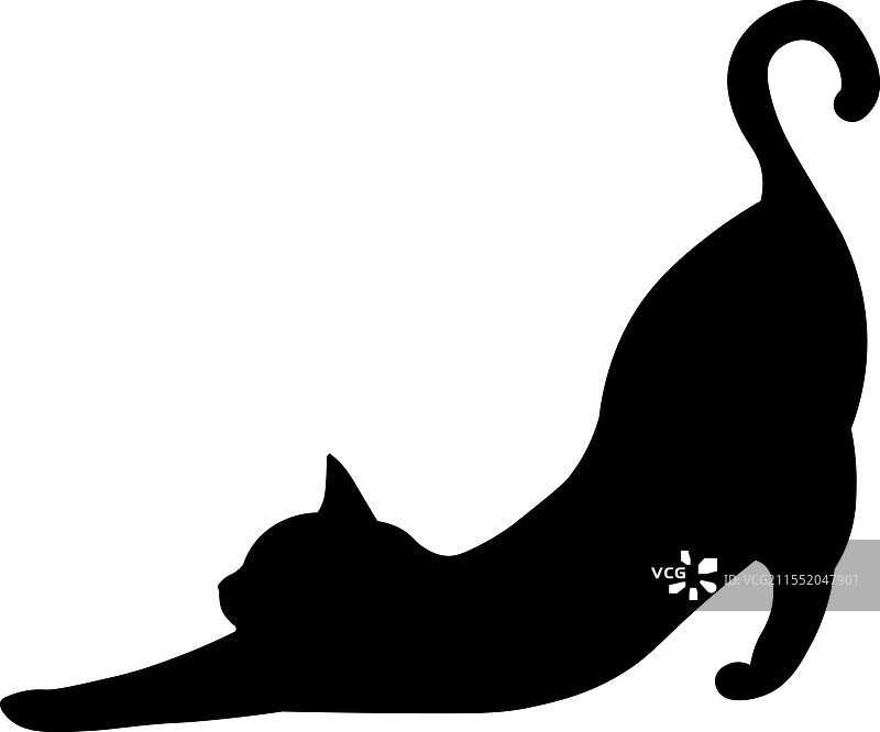 斯芬克斯猫侧面轮廓宠物猫品种图片素材