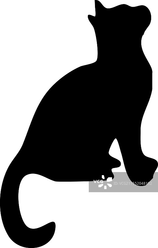 斯芬克斯猫侧面轮廓宠物猫品种图片素材