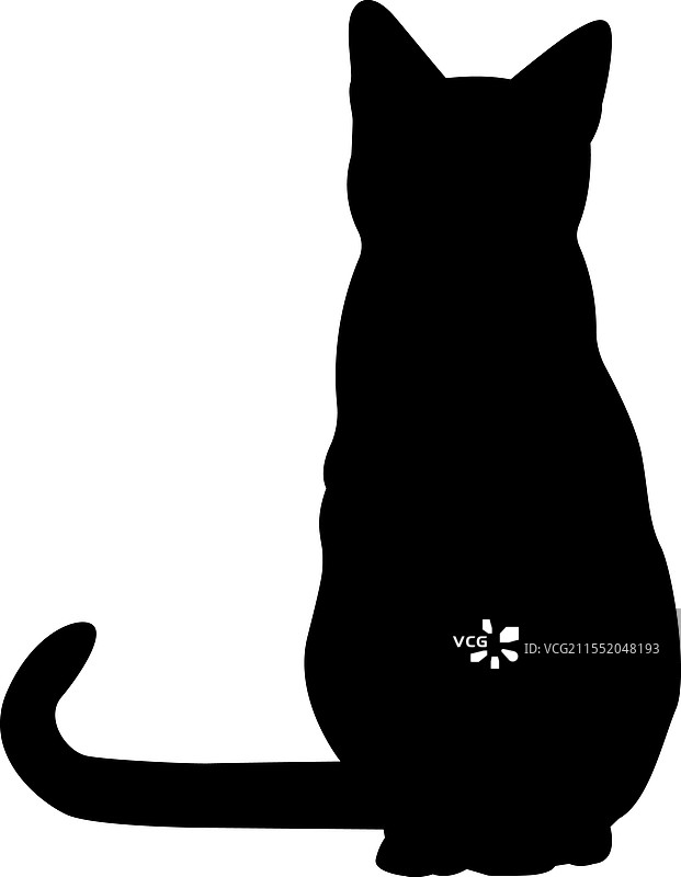 斯芬克斯猫侧面轮廓，猫咪品种，宠物图片素材