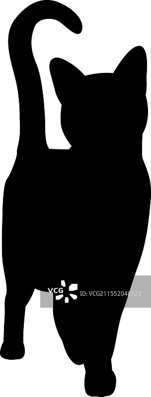 斯芬克斯猫侧面轮廓宠物猫品种图片素材