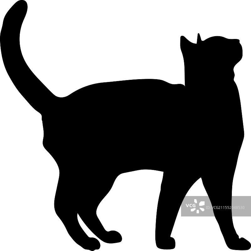 斯芬克斯猫侧面轮廓，猫种，宠物图片素材