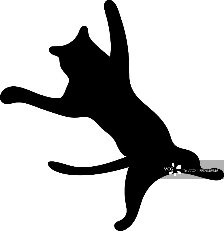 斯芬克斯猫侧面轮廓宠物猫品种图片素材