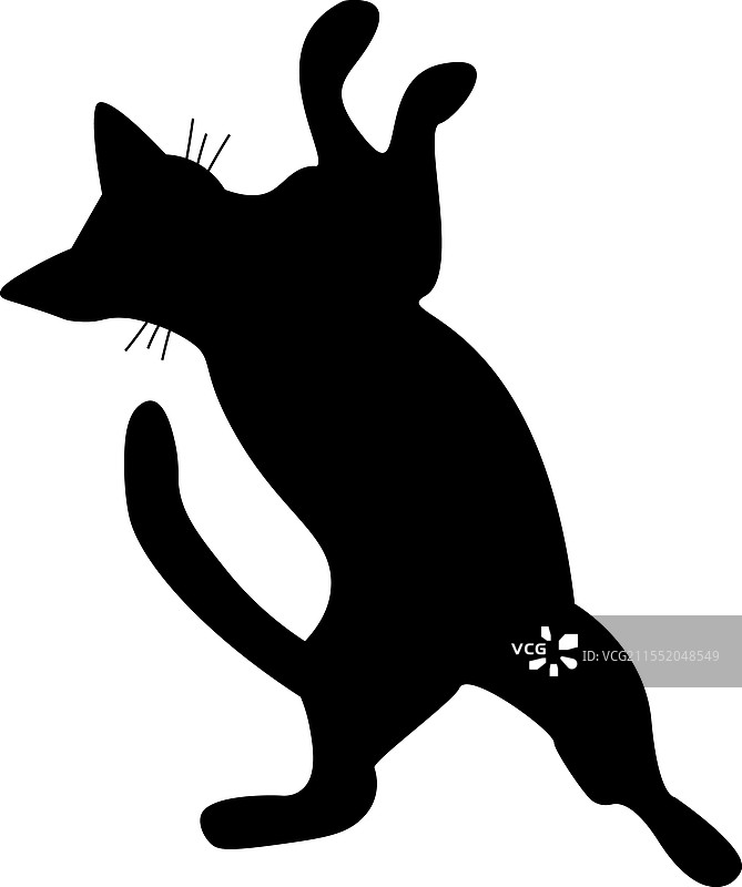 斯芬克斯猫侧面轮廓宠物猫品种图片素材