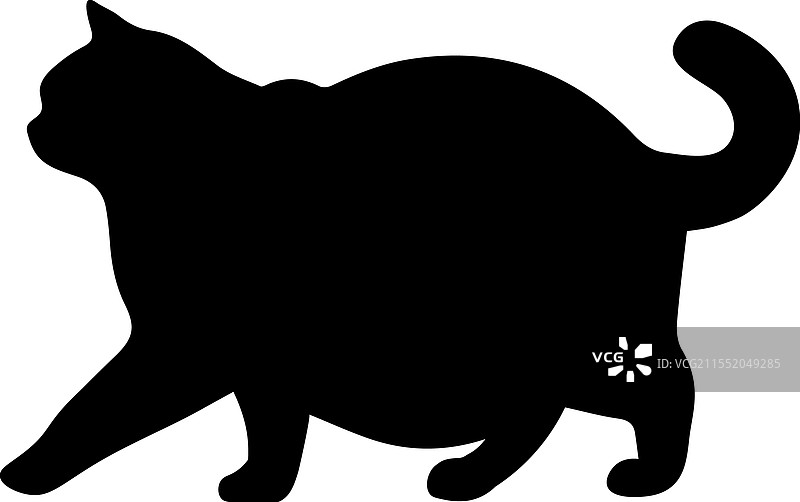 斯芬克斯猫侧面轮廓，猫咪品种，宠物图片素材