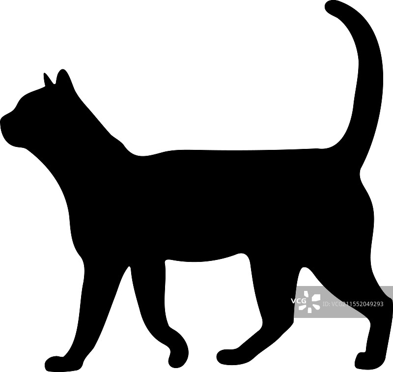 斯芬克斯猫侧面轮廓，猫咪品种，宠物图片素材