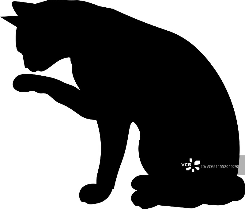 斯芬克斯猫侧面轮廓，猫咪品种，宠物图片素材