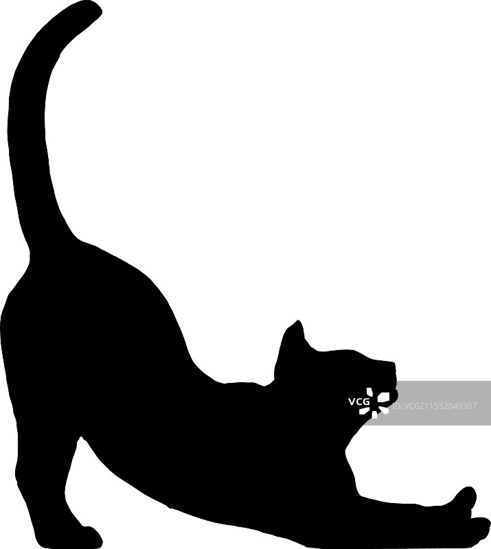 斯芬克斯猫侧面轮廓宠物猫品种图片素材