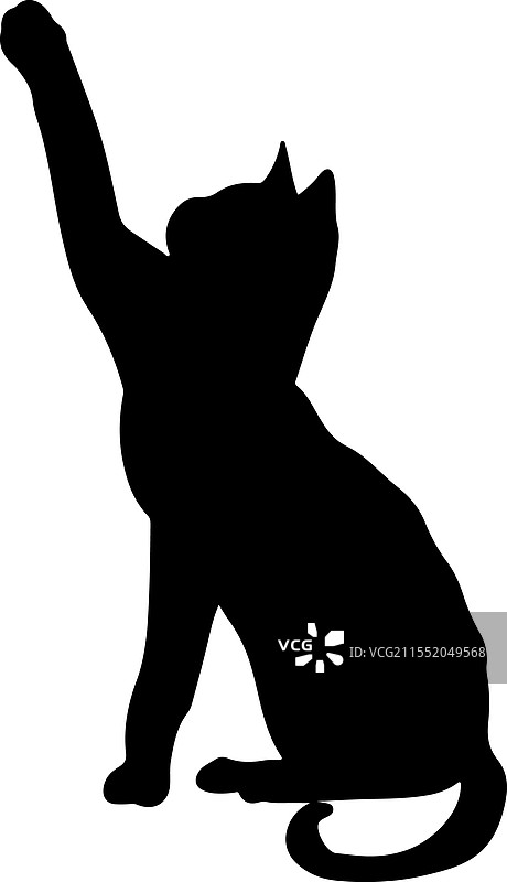 斯芬克斯猫侧面轮廓宠物猫品种图片素材
