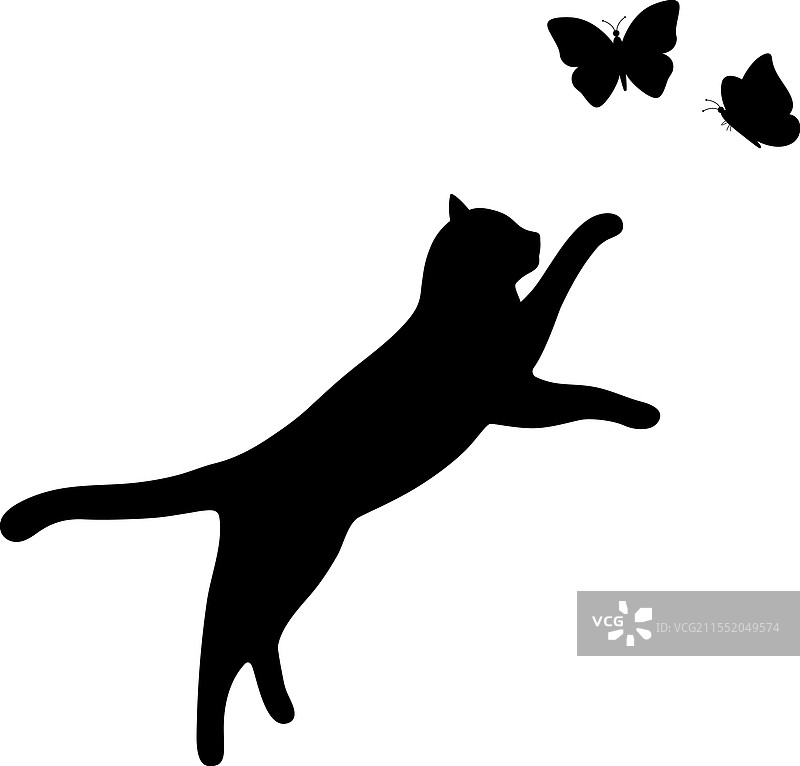 斯芬克斯猫侧面轮廓宠物猫品种图片素材