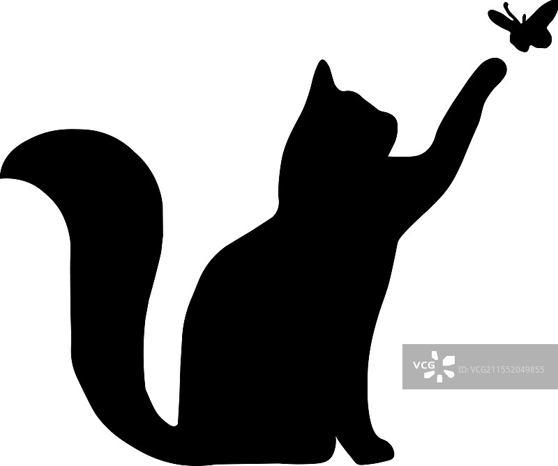 斯芬克斯猫侧面轮廓，猫咪品种，宠物图片素材