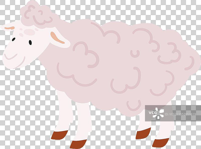 动物农场的羊图片素材