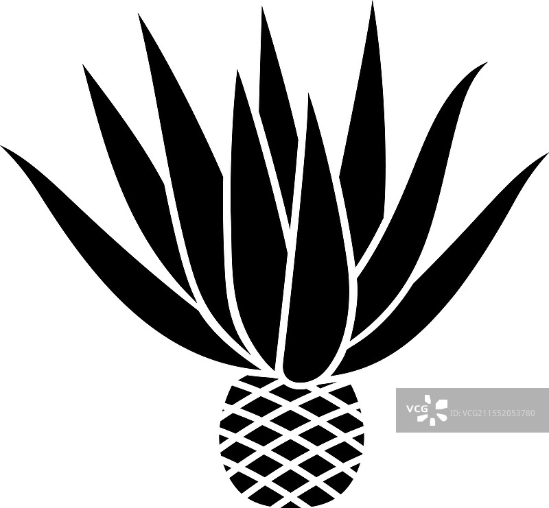 龙舌兰图片素材