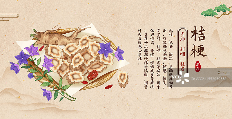 中国传统文化中医养生中草药药材医疗用品海报模板之桔梗图片素材