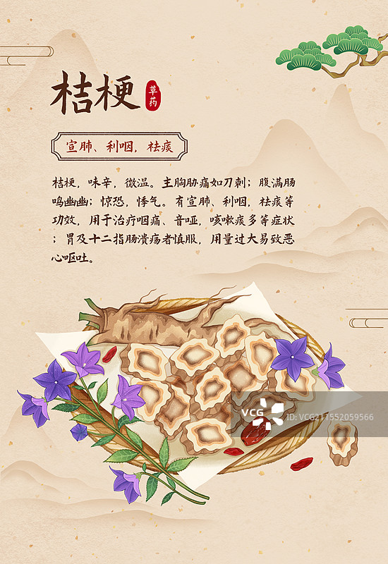 中国传统文化中医养生中草药药材医疗用品海报模板之桔梗图片素材
