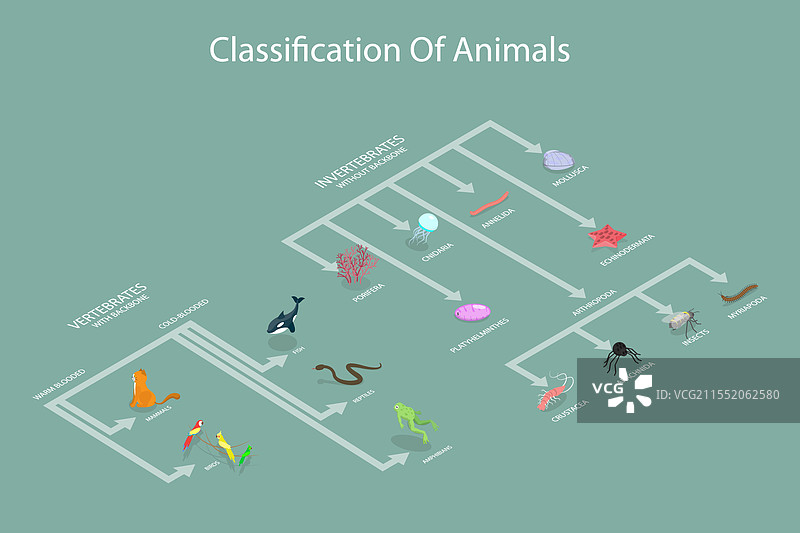 动物的三维等距平面图图片素材