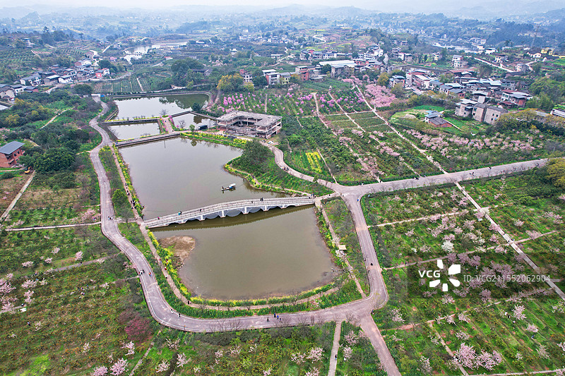 重庆北碚五一村樱花橘乡图片素材