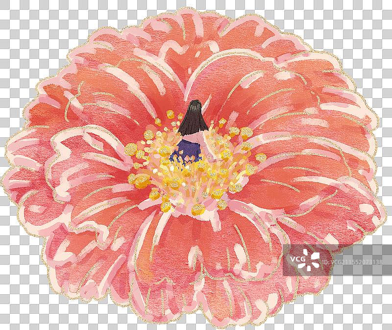 盛开的花中有一个女孩图片素材