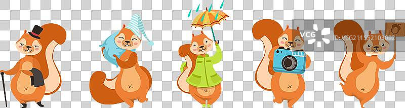 搞笑的松鼠，毛茸茸的尾巴正在参与某项活动图片素材