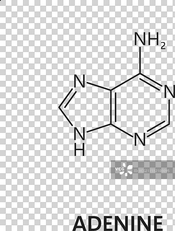 腺嘌呤核酸氮碱基的化学式图片素材