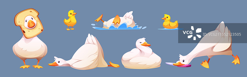 可爱的鹅或鸭角色系列图片素材